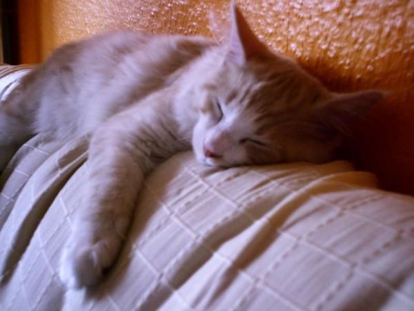 Undercover-Coon´s Bild 1 Mai 2005