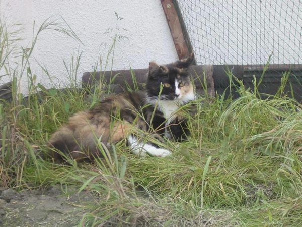 Undercover-Coon´s Bild 17 Juni 2005