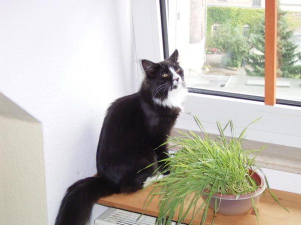 Undercover-Coon´s Bild 8 Juli 2005