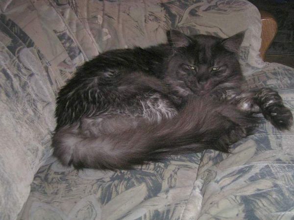 Undercover-Coon´s Bild 6 November 2005