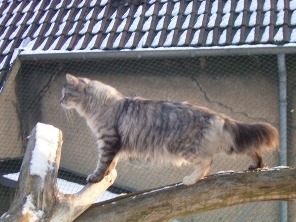 Undercover-Coon´s Bild 9 März 2006