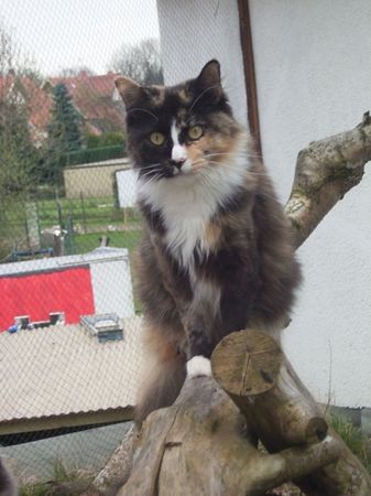 Undercover-Coon´s Bild 21 April 2006