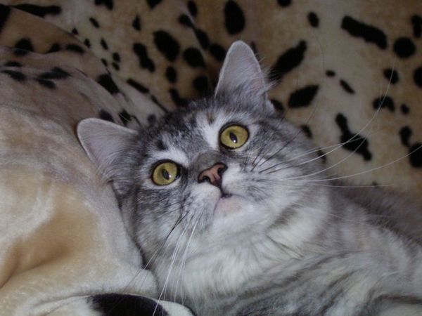 Undercover-Coon´s Bild 24 Mai 2006