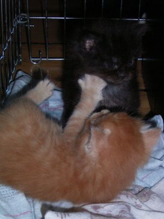 Undercover-Coon´s Bild 12 Mai 2007