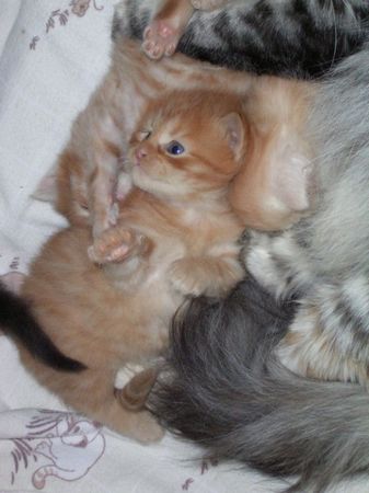 Undercover-Coon´s Bild 30 Mai 2007