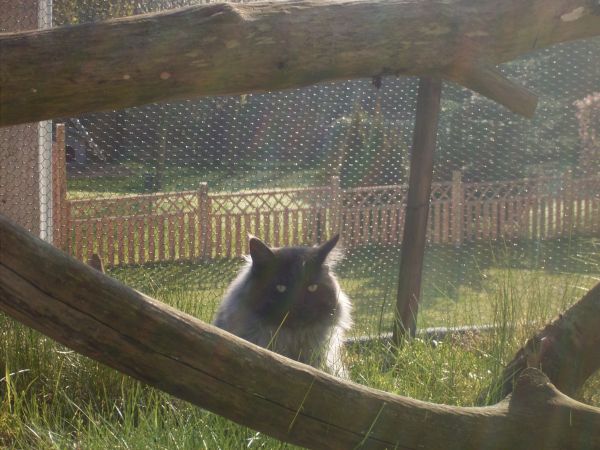 Undercover-Coon´s Bild 3 April 2008