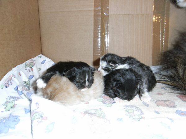 Undercover-Coon´s Bild 2 November 2008