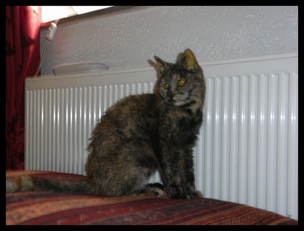 Undercover-Coon´s Bild 8 März 2009