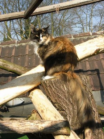 Undercover-Coon´s Bild 16 März 2009