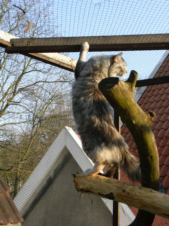 Undercover-Coon´s Bild 52 März 2009