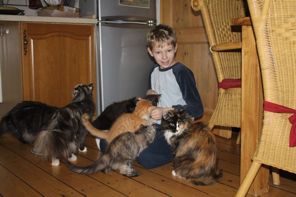 Undercover-Coon´s Bild 32 Januar 2011