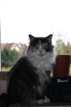 Zufallsbild Emma