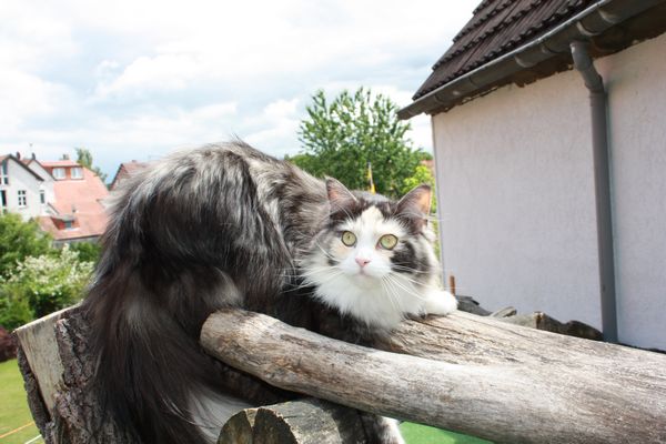 Emma mit 1,5 Jahren Bild 10