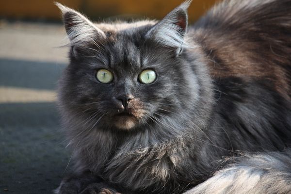 Flo mit 3 Jahren Bild 14