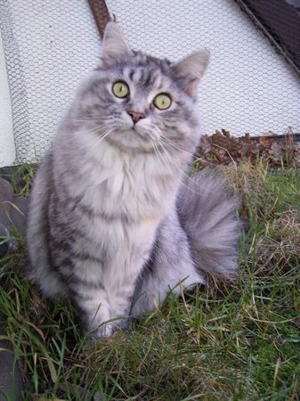 Isi mit 3 Jahren Bild 6