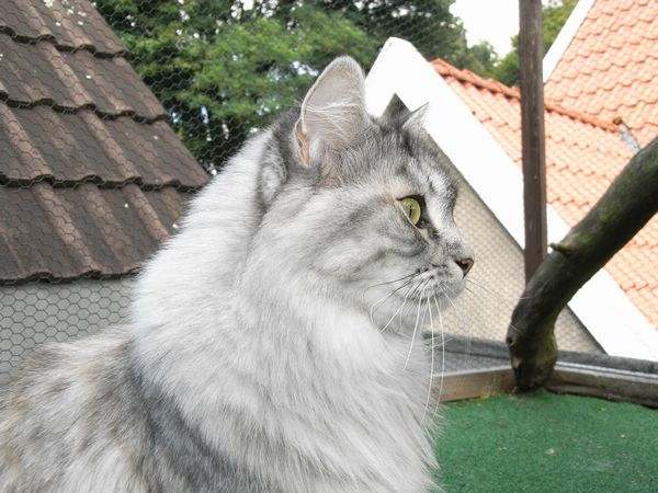 Isi über sich Bild 1