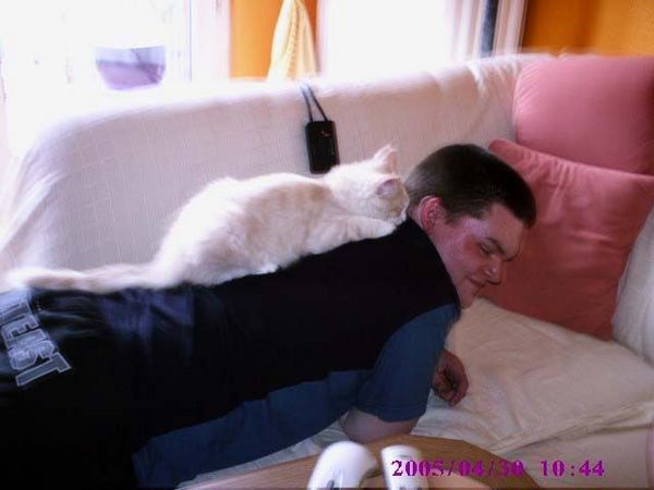 Undercover-Coon´s Angelo Bild 8