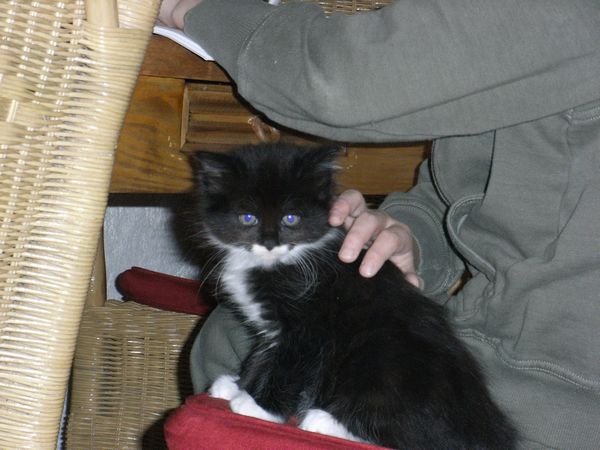 Undercover-Coon´s Evita Bild 30